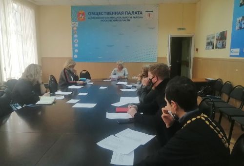 Заседание комиссии Общественной палаты Щёлково по образованию